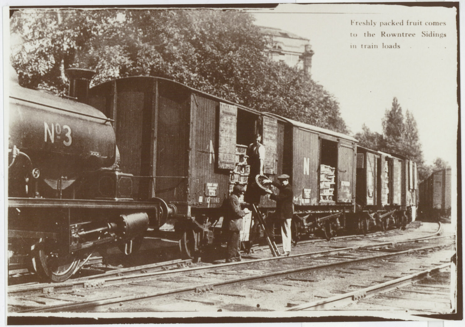 Transport workers at the Cocoa Works unloading fruit in1920